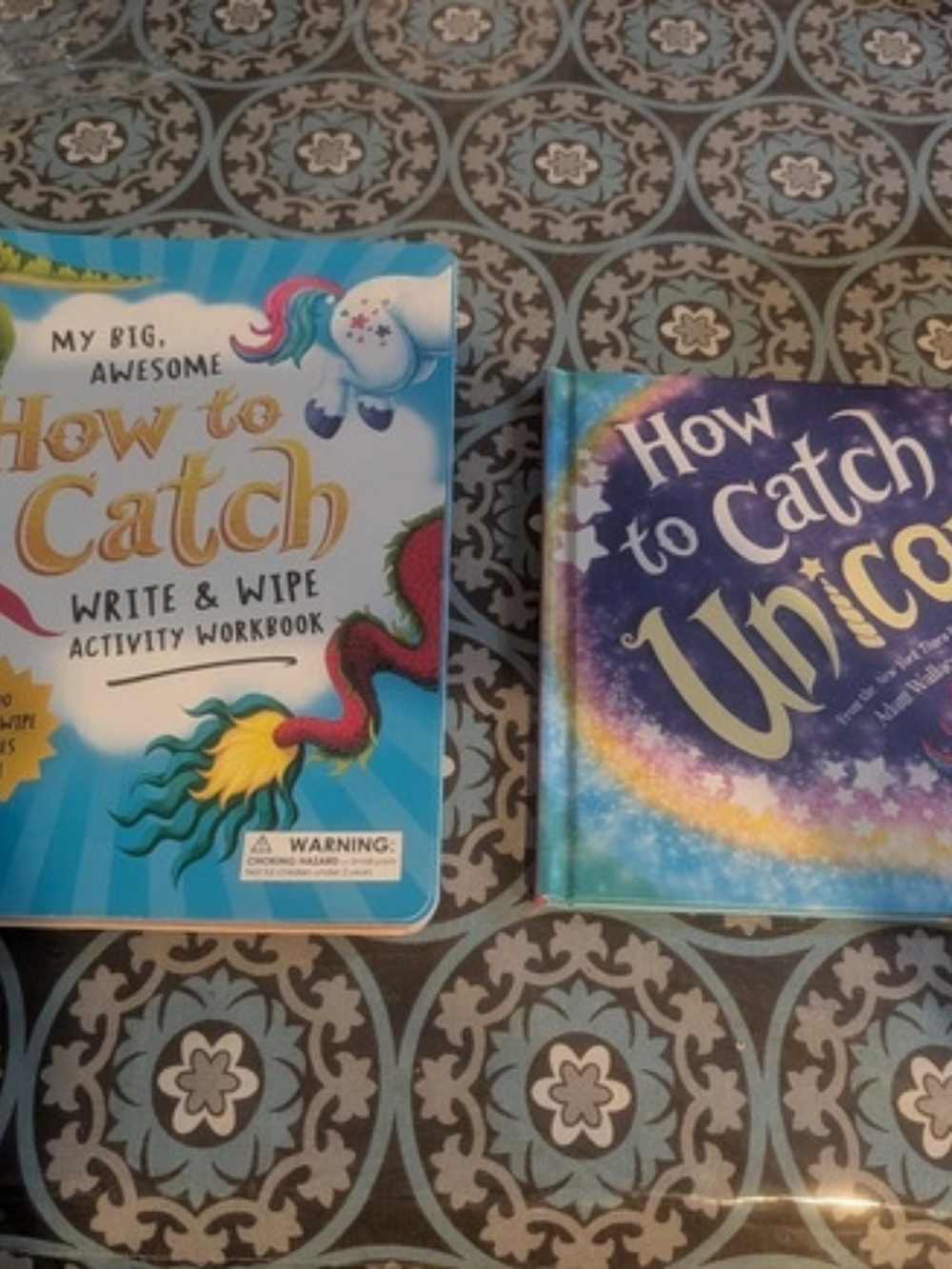 How to Catch a Unicorn + How to Catch Write & Wipe Activity Workbook